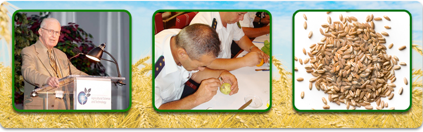 Borlaug Fellowship Program