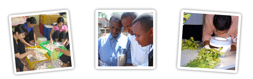Technical Experts