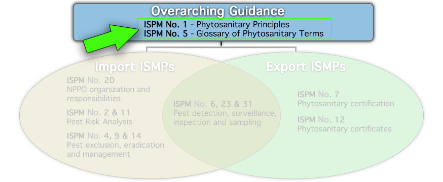 OVERARCHING GUIDANCE